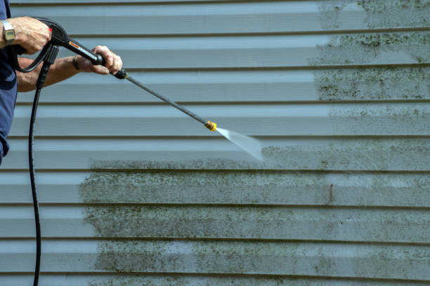 Best Residential Pressure Washing Services  in Laurie, MO